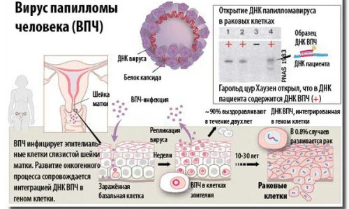Изображение 2 Изображение 2