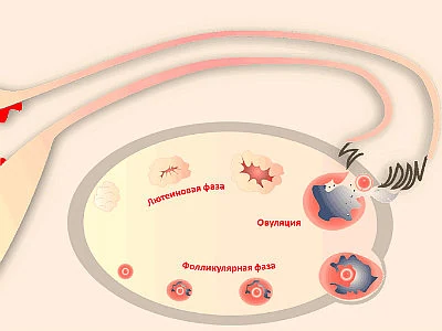 Картинка 3 Картинка 3