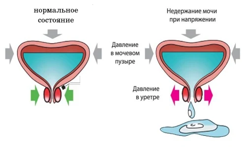 Иллюстрация 2