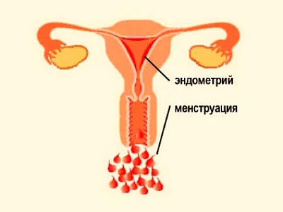 Иллюстрация 2 Иллюстрация 2