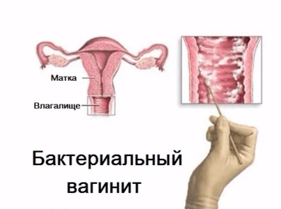 Иллюстрация 5