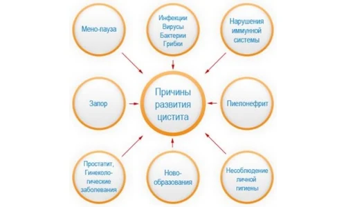 Иллюстрация 2 Иллюстрация 2