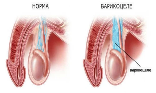 Картинка 3 Картинка 3