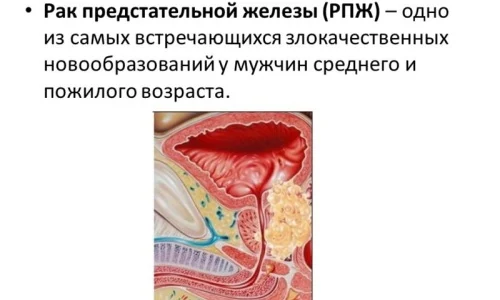 Картинка 3 Картинка 3