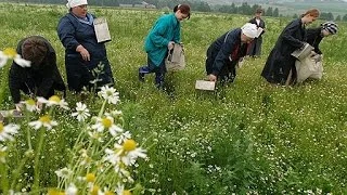 Иллюстрация 6