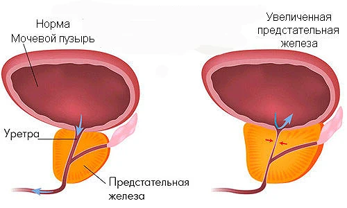 Иллюстрация 3