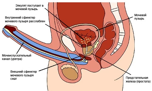 Изображение 1 Изображение 1