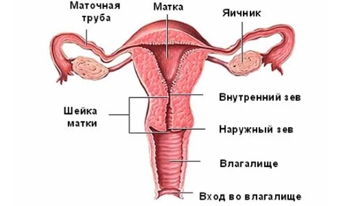 Иллюстрация 4 Иллюстрация 4
