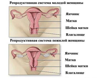 Иллюстрация 2 Иллюстрация 2