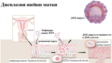 Картинка 6 Картинка 6