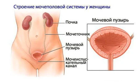 Иллюстрация 1 Иллюстрация 1