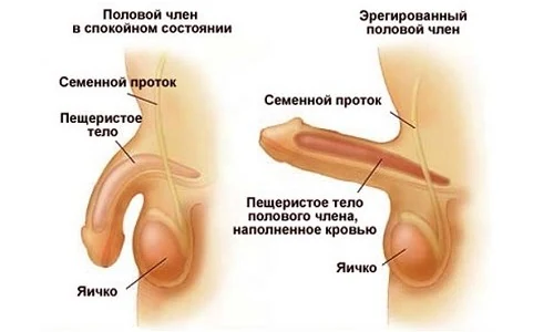 Иллюстрация 5