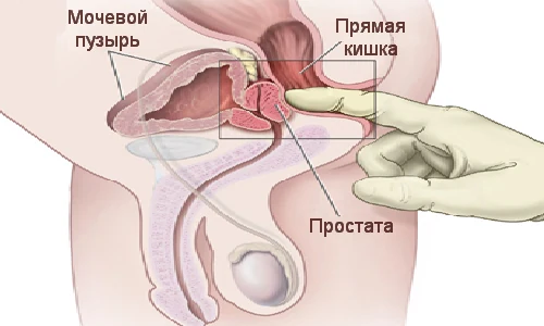 Иллюстрация 5 Иллюстрация 5