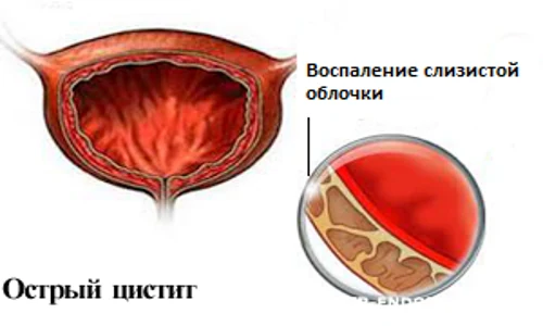 Иллюстрация 3