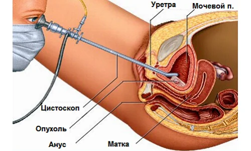 Картинка 3 Картинка 3