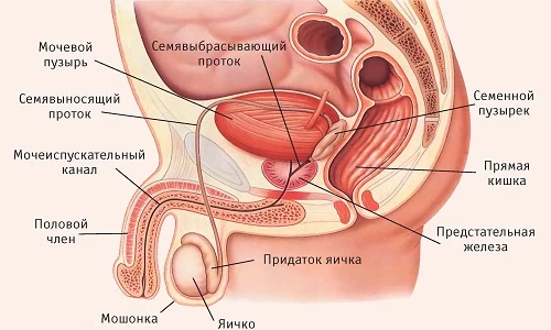Изображение 2 Изображение 2