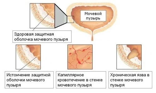 Картинка 6 Картинка 6