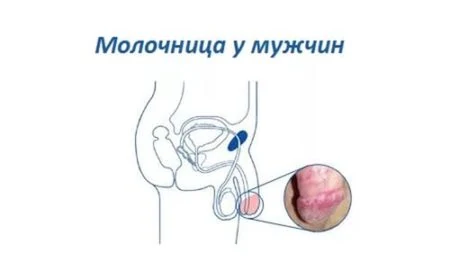 Иллюстрация 3 Иллюстрация 3