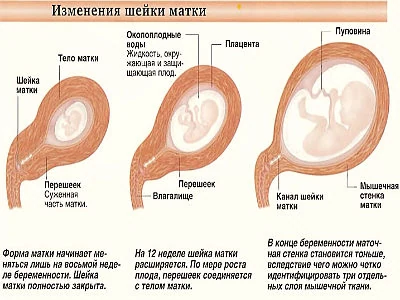 Картинка 4 Картинка 4