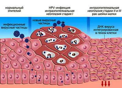 Иллюстрация 1