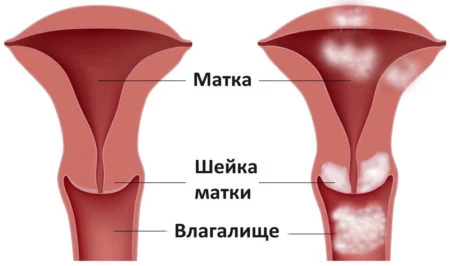 Иллюстрация 8 Иллюстрация 8