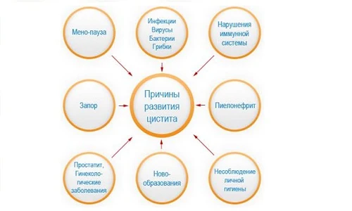 Иллюстрация 2 Иллюстрация 2