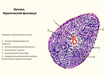 Иллюстрация 2 Иллюстрация 2
