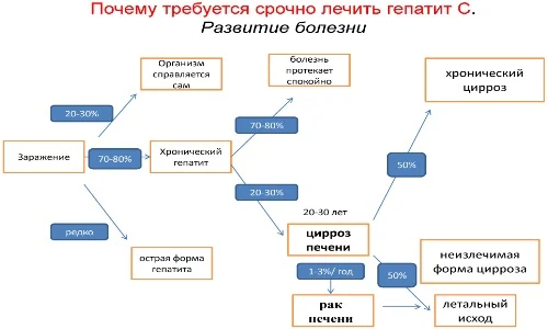 Иллюстрация 2 Иллюстрация 2