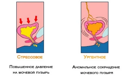 Картинка 8 Картинка 8