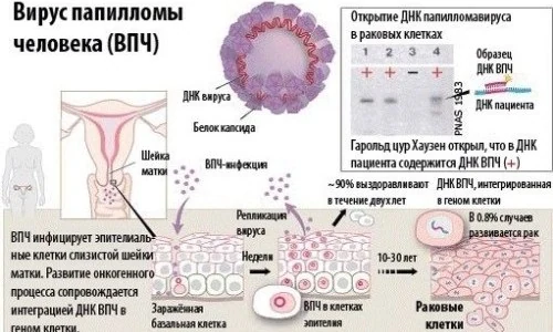 Иллюстрация 5