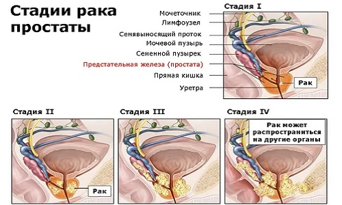 Картинка 2 Картинка 2