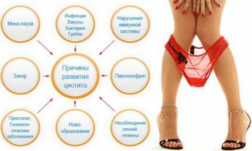Изображение 2 Изображение 2