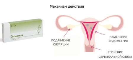 Картинка 4