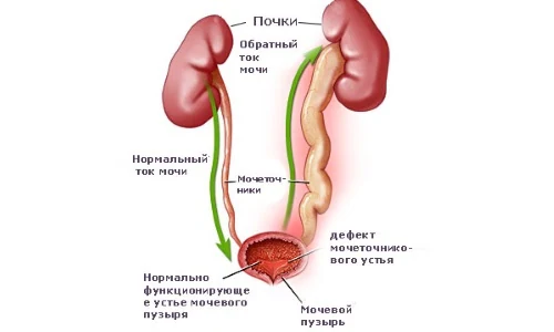 Иллюстрация 2 Иллюстрация 2