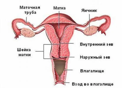Изображение 1 Изображение 1
