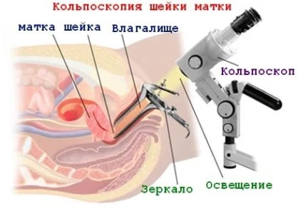 Картинка 2 Картинка 2