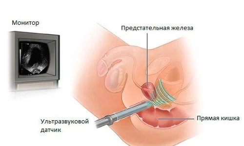Иллюстрация 7 Иллюстрация 7