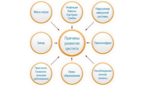Иллюстрация 4