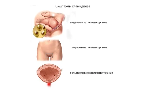 Иллюстрация 2 Иллюстрация 2