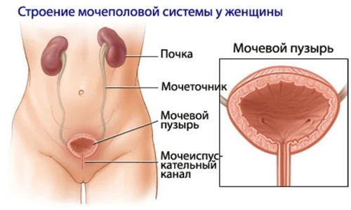 Изображение 2 Изображение 2