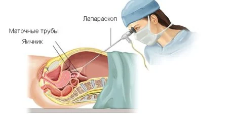 Картинка 2 Картинка 2