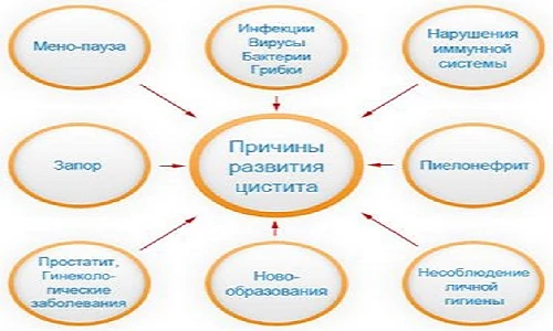 Картинка 3 Картинка 3