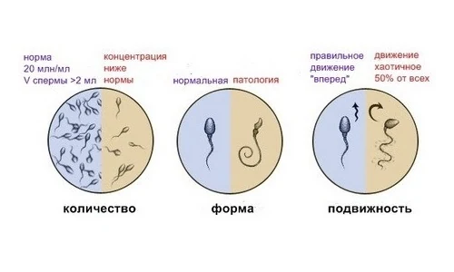Изображение 2 Изображение 2