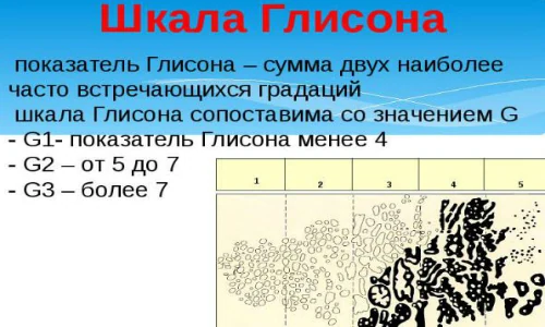 Изображение 6 Изображение 6
