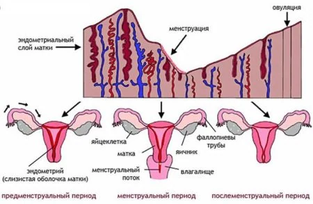 Изображение 2 Изображение 2