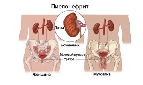 Иллюстрация 6