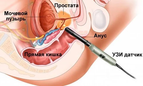 Иллюстрация 3 Иллюстрация 3
