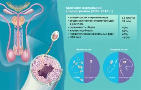 Картинка 7